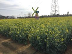 景点-盈香心动乐园