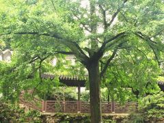 -无锡惠山寺