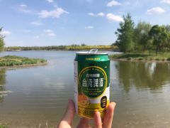 -东郊湿地公园