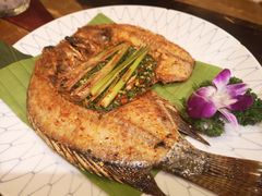 -紫滇源云南生态菜(丹凤街店)