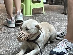 -夹夹大·蟹蟹大排档(财富又一城店)