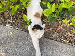 -苏州河梦清园环保主题公园