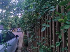 -三圣花乡旅游区