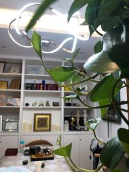 -丹漪·DANYI 美肤中心