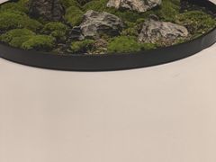 -阿五黄河大鲤鱼(纬三路店)