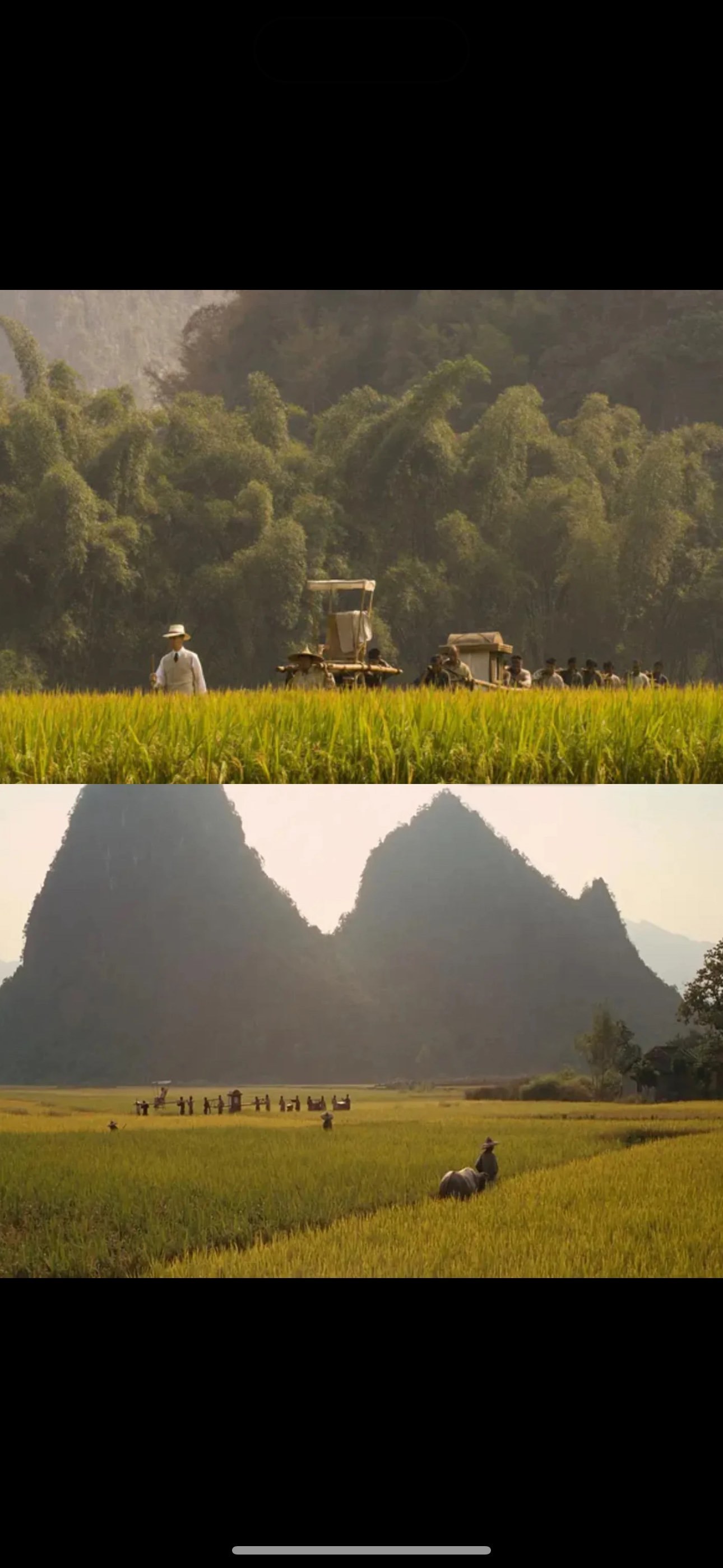 《面纱》特别值得每个女孩观看的电影!