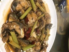 -江南村海鲜馆(洞头店)