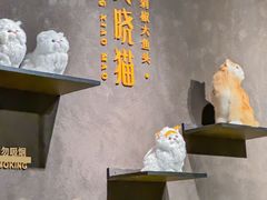 -黄晓猫剁椒大鱼头(海岸城店)