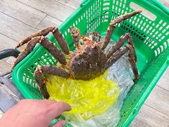 -宝燕海货工场(长江国际店)