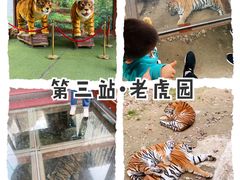 -栾川竹海野生动物园