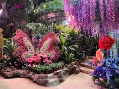 -正佳雨林生态植物园