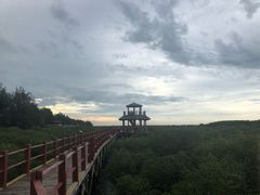 -北海金海湾红树林生态旅游区