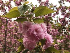 -苏州河梦清园环保主题公园