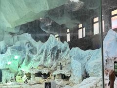 -帝企鹅自助餐厅•儿童岛•真企鹅(长隆企鹅酒店)