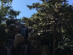 -燕塞湖鸟语林景区