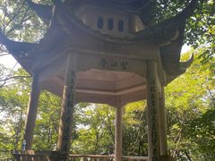 -岣嵝峰国家森林公园