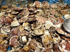 大扇贝-钱库里海鲜自助(星海广场店)
