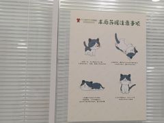 -悦宠凯宝动物医院·牙科·皮肤科(朝阳北路店)