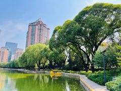 -团结湖公园