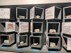 -湖南省地质博物馆