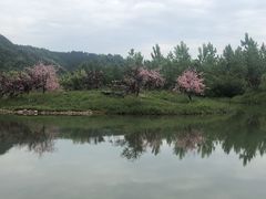 -常德桃花源景区