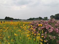 -苏州湾体育公园