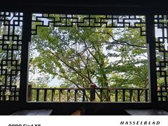 -句容茅山景区
