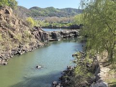 -藏猫猫咖啡主题馆(中央大道店)