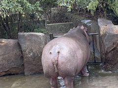 -宁波野生动物园
