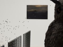 -胶囊画廊