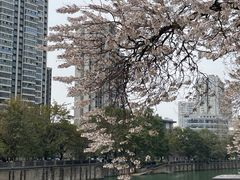 -红星桥(地铁站)