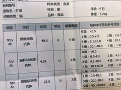 -亚宠动物医院·芭比堂宠物医院(盘龙店)