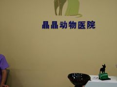 -瑞鹏宠物医院·爱宠堂·骨外专科(西荷分院)