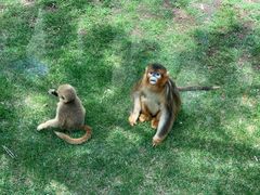 -大连森林动物园