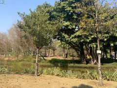 -海珠儿童公园