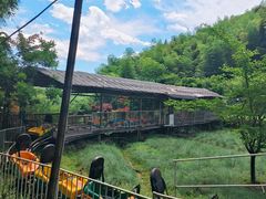 -宁波浙东大竹海景区