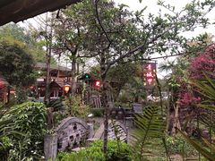 白果炖鸡-青城甲(青城山店)