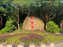 -野狸岛