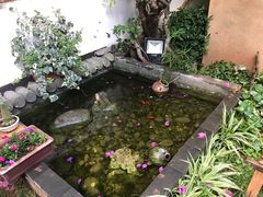 -浔岚云舍mist静谧观景美宿(丽江古城店)