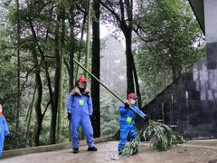 -中国大熊猫保护研究中心雅安碧峰峡基地