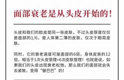 -菩叶脱发白发中心