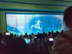 -海合安成都极地海洋公园