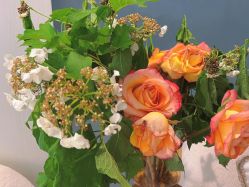 -联合丽格·张菡丽格医疗美容