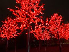 -郑州中国绿化博览园