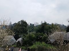 -樱桃山旅游景区