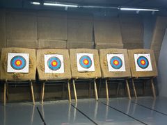 -蓝天射箭馆·专业射箭运动(诚丰广场店)