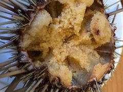 -海胆小馆(东北水饺·春柳店)