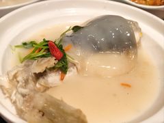 -肆月河豚·新淮扬(金融街店)