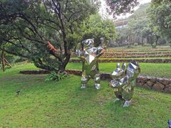 -杭州开元森泊度假乐园