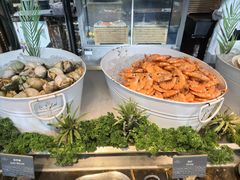 -拉萨圣地天堂洲际大饭店-自助餐厅